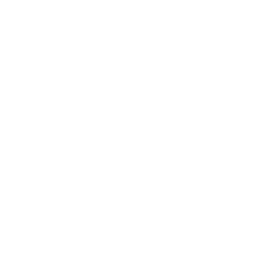 Logo-Fructify Network